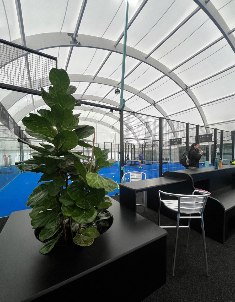 IMG-20251103-WA0023 without overlay text